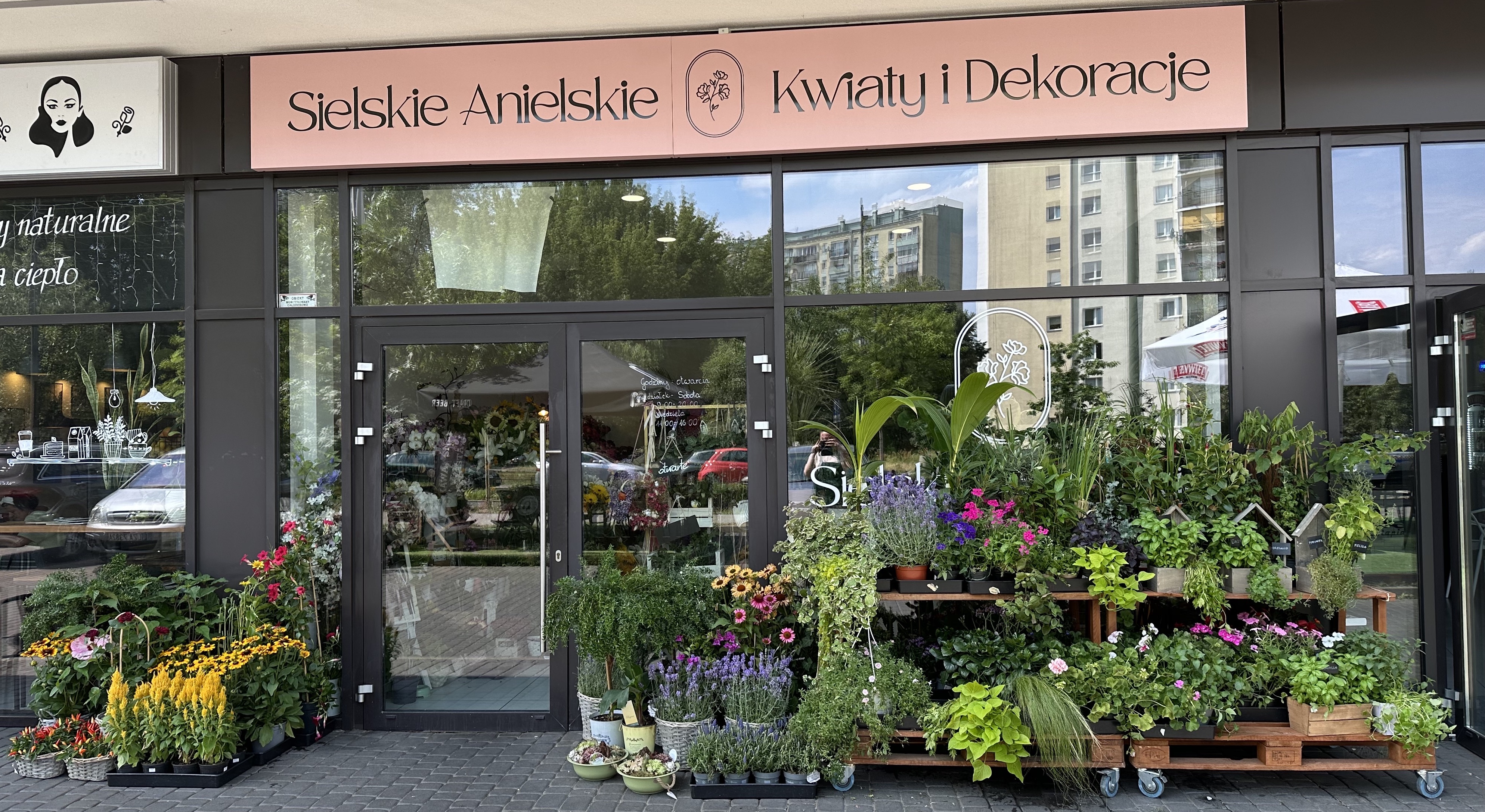 Nasza kwiaciarnia - Sielskie Anielskie Kwiaty i Dekoracje