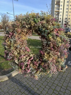 KOMPOZYCJE Z SUSZU 12