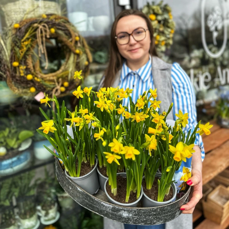 Wiosno, czekamy ! 🌼🌞🌿

#kwiaciarniabielany #kwiaciarniawarszawa #wiosennekwiaty #kwiaty #wiosna