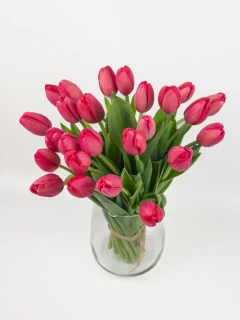 Bukiet Czerwonych Tulipanów