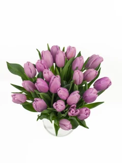Bukiet Fioletowych Tulipanów