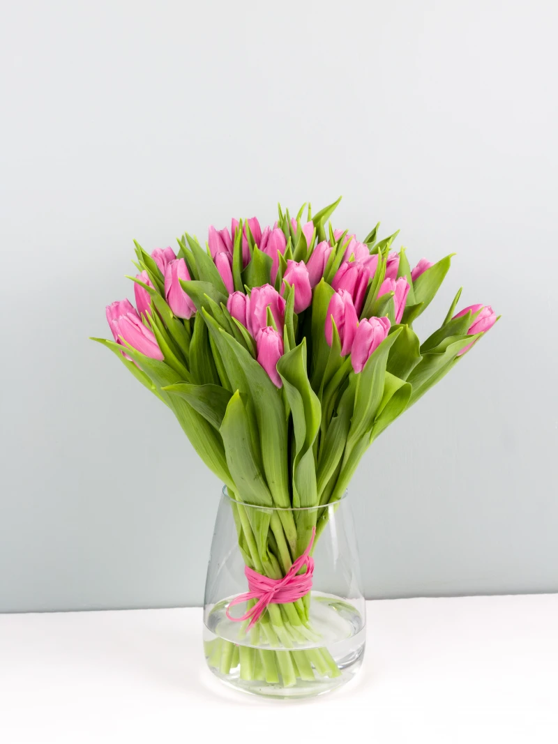 Piękny Bukiet Różowych Tulipanów