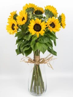 Bukiet Słoneczników