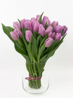 Bukiet Fioletowych Tulipanów
