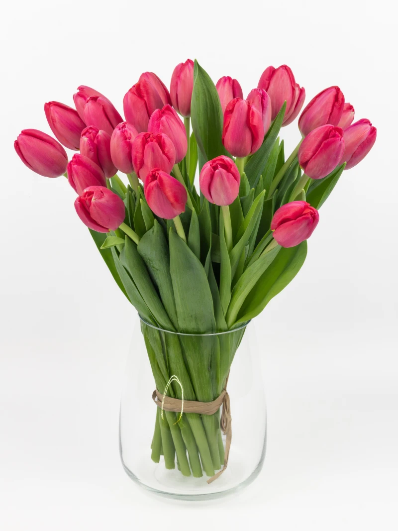 Bukiet Czerwonych Tulipanów