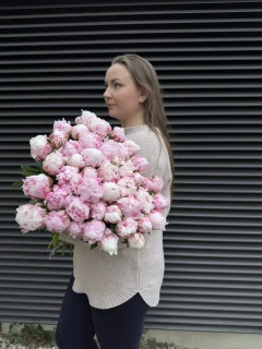 Słodkie Peonie Pastelowe - zdjęcie 3